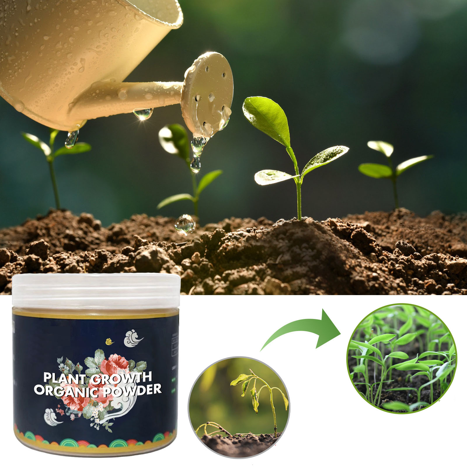 Img
